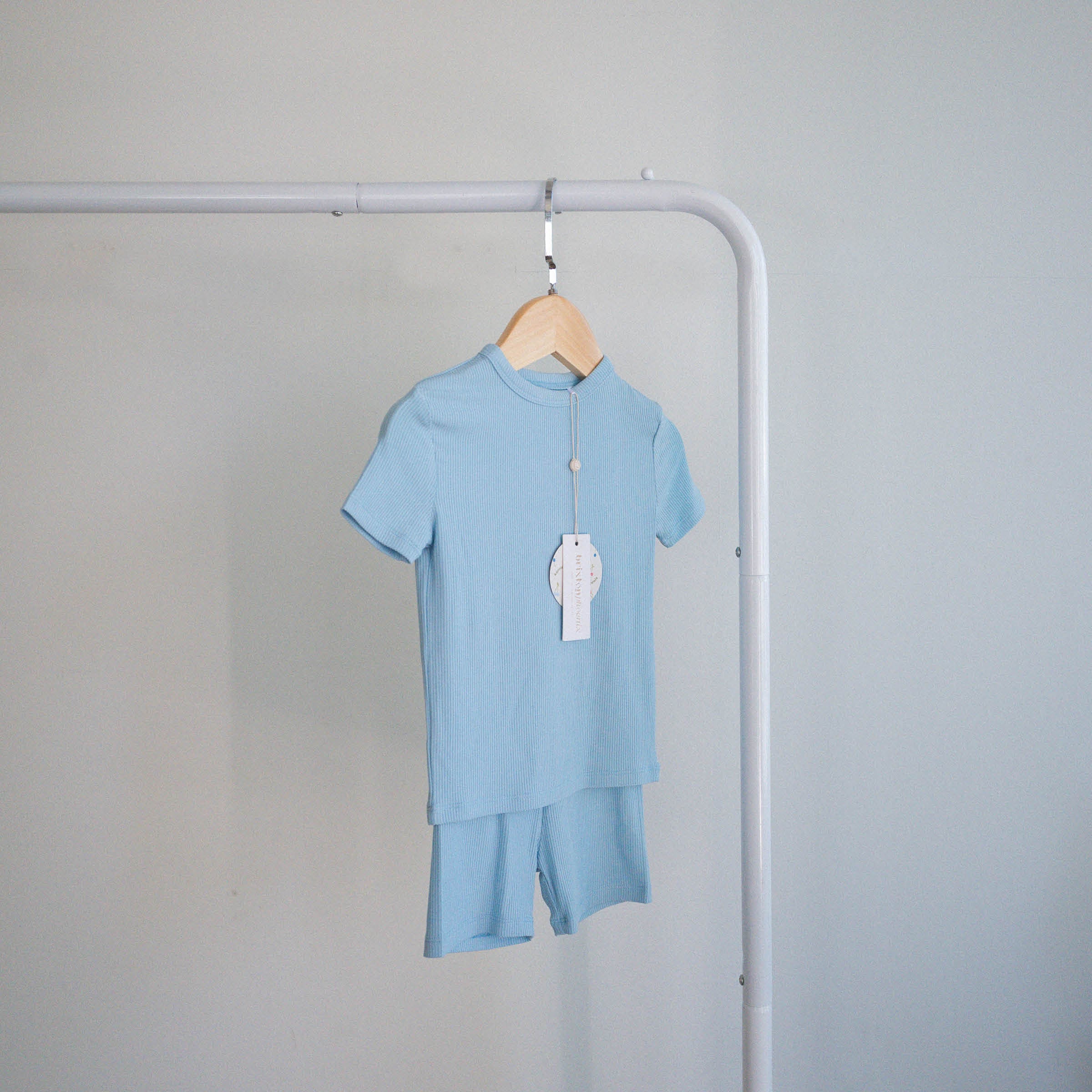 Blueberry Smash | Bamboo Viscose Two Piece Short Set
