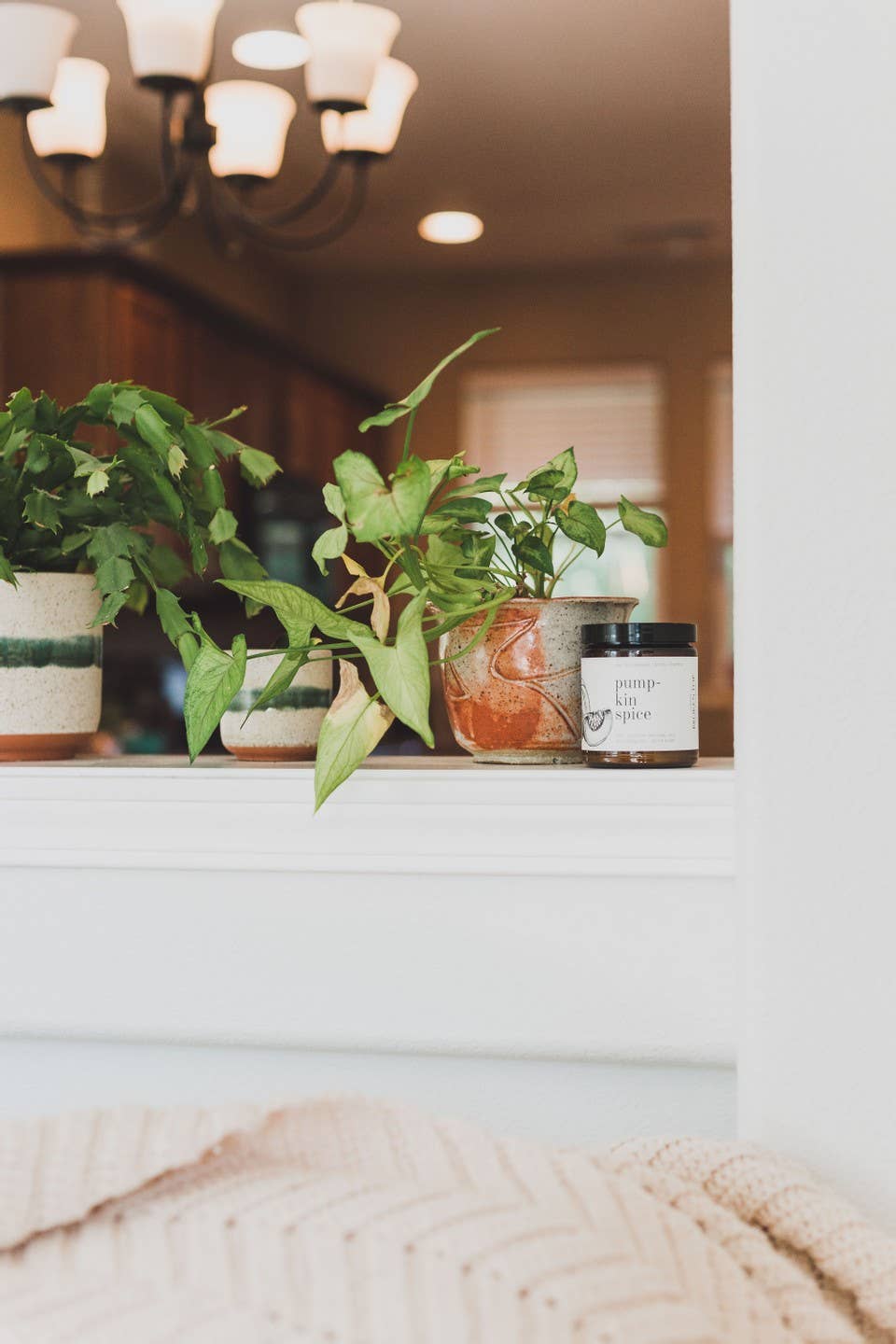 Broken Top Brands - Pumpkin Spice - 9 oz Soy Candle - Fall