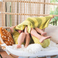 Load image into Gallery viewer, Lemon Lime | XS Plush Blanket
