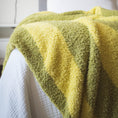 Load image into Gallery viewer, Lemon Lime | XL Plush Blanket
