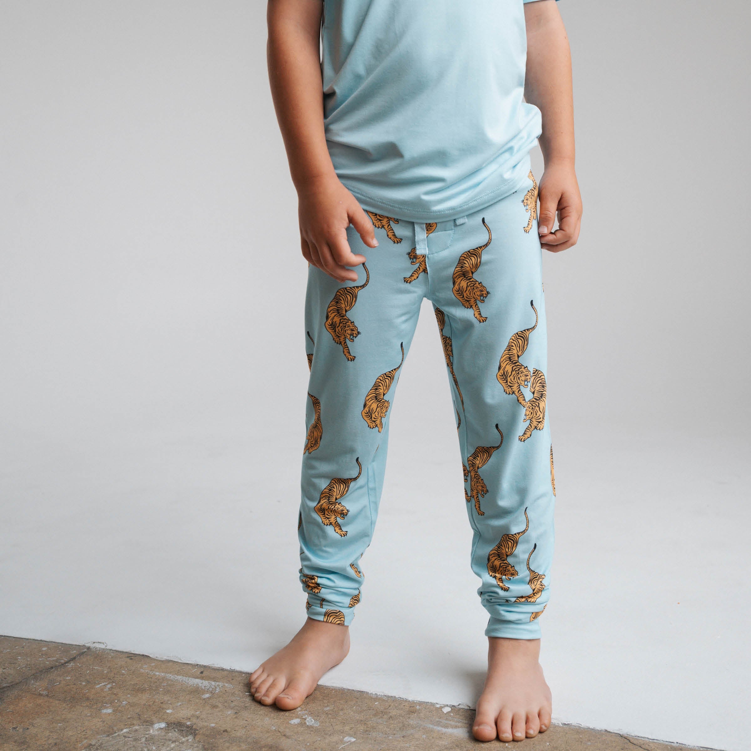 Tigers | Boy's Jogger